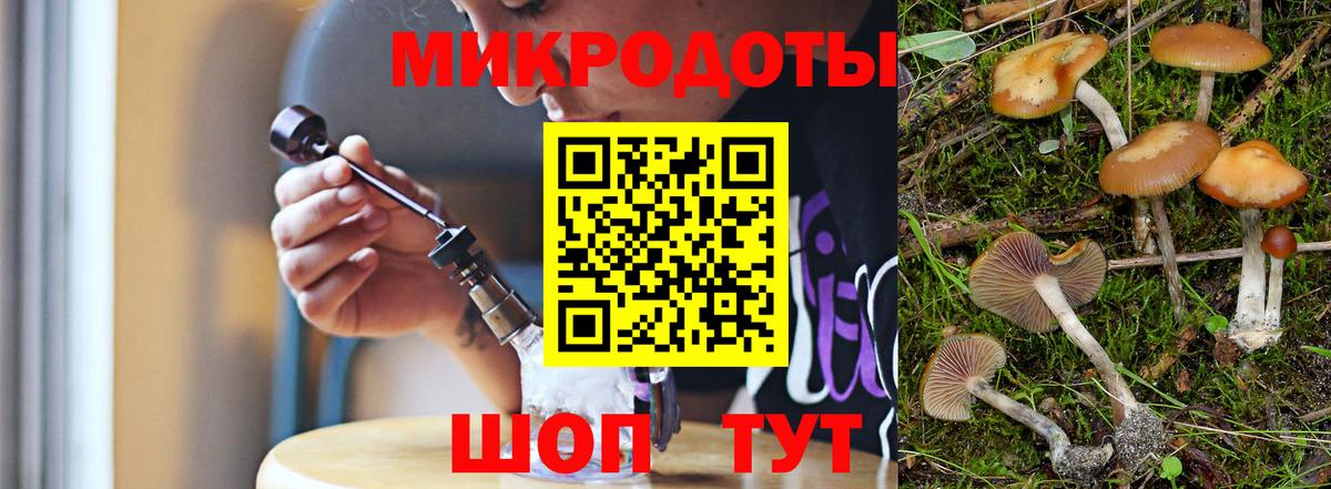 Галлюциногенные грибы мухоморы Зерноград