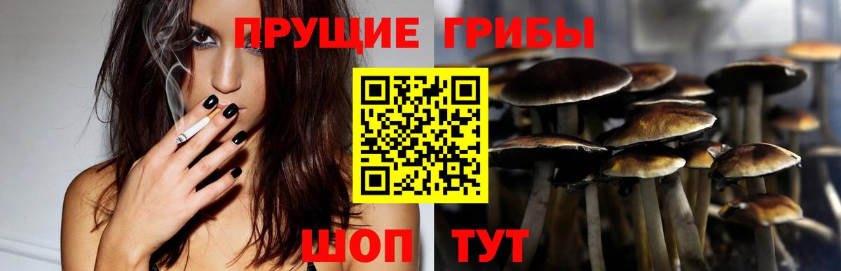 Псилоцибиновые грибы Cubensis  Вход с VPN  Зерноград  Псилоцибиновые грибы Psilocybine cubensis 